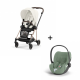 Cybex Mios Rosegold