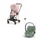 Cybex Mios Rosegold