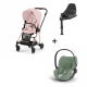 Cybex Mios Rosegold