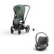 Cybex Priam Rosegold