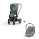 Cybex Priam Rosegold