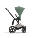 Cybex Priam Rosegold