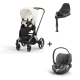 Cybex Priam Rosegold