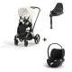 Cybex Priam Rosegold