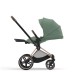 Cybex Priam Rosegold