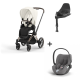 Cybex Priam Rosegold