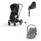 Cybex Priam Rosegold