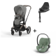 Cybex Priam Rosegold