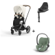 Cybex Priam Chrome Brown