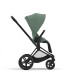 Cybex Priam Matt Black