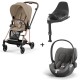 Cybex Mios Rosegold