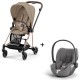 Cybex Mios Rosegold