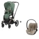 Cybex Priam Rosegold