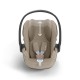 Cybex Priam Rosegold