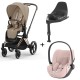 Cybex Priam Rosegold