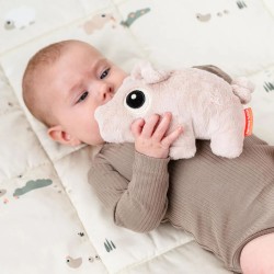 Peluche Done by Deer Cuddle Pigee