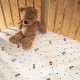 Lençol Ajustável para Cama de Grades Stokke Sleppi
