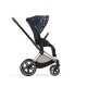 Cybex e-Priam Jewels of Nature 2022