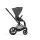 Cybex e-Priam Simply Flowers 2022