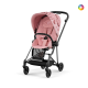 Cybex Carrinho de Passeio Mios Simply Flowers 2022