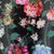 Roses Floral