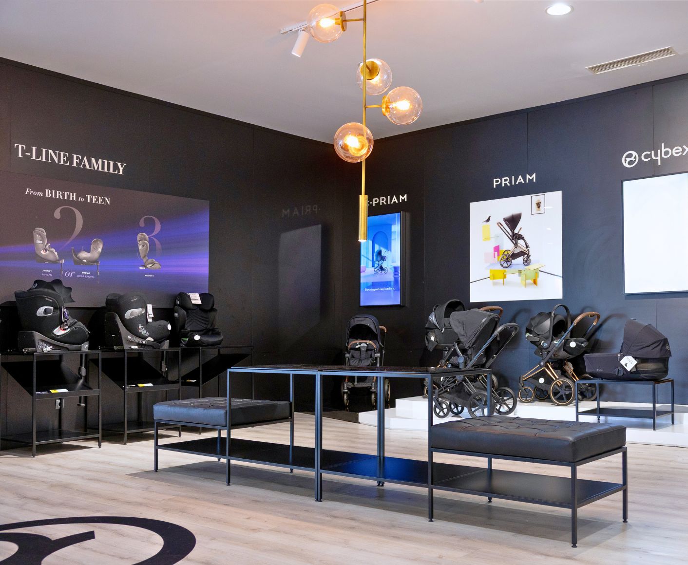 SHOWROOM DE CADEIRAS AUTO