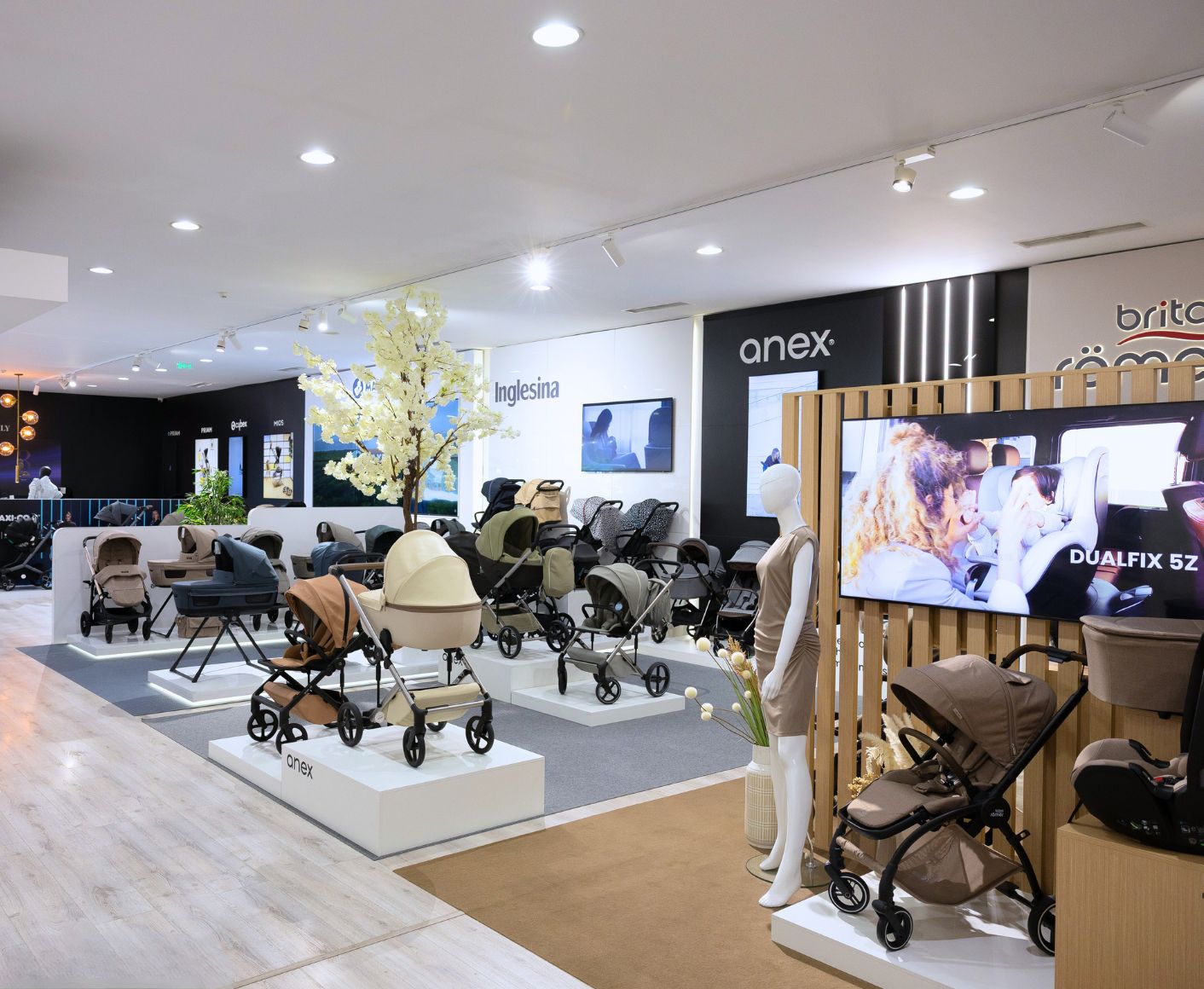 SHOWROOM DE CARRINHOS