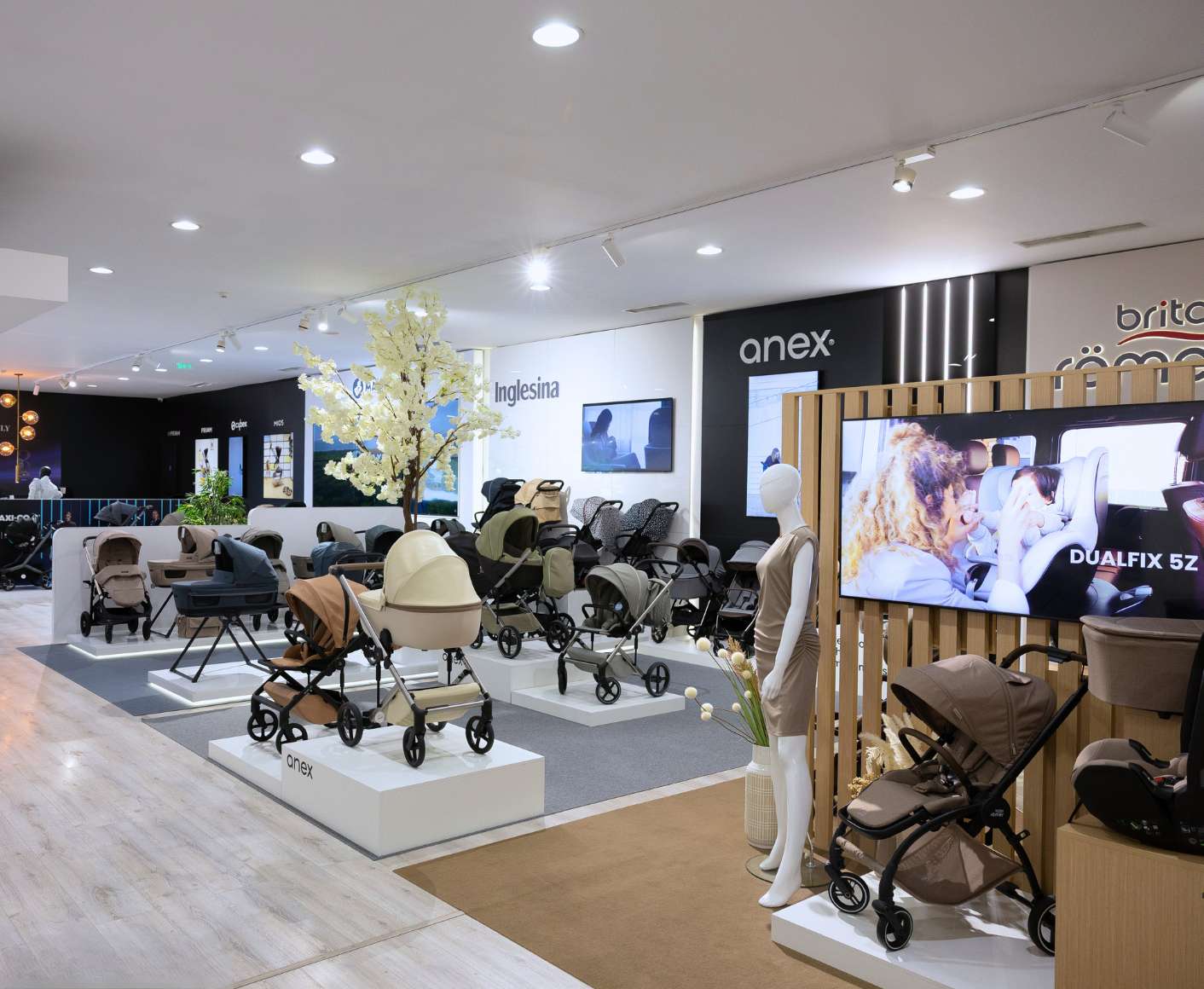 SHOWROOM DE CARRINHOS