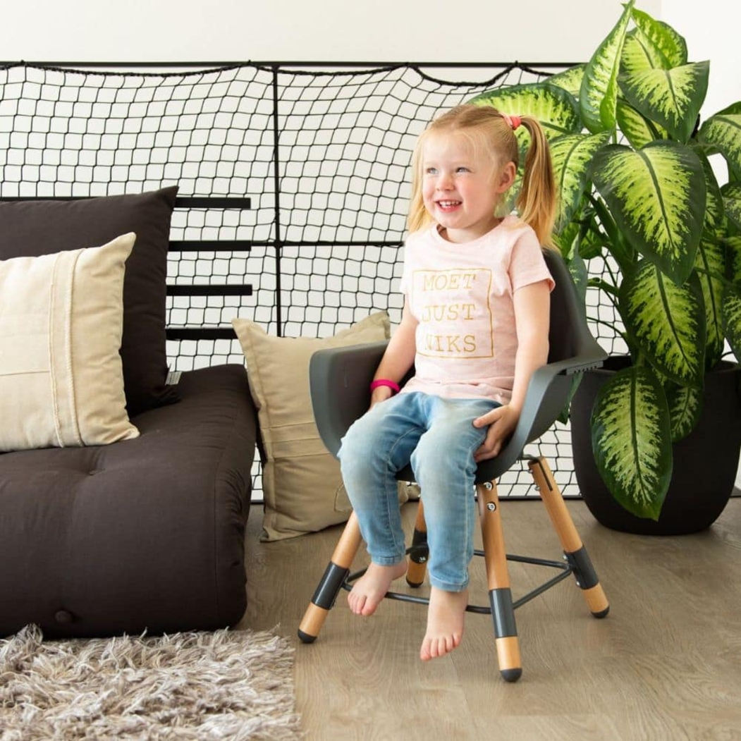 Cadeira de Papa Childhome Evolu 2 - Childhome - 5420007143213