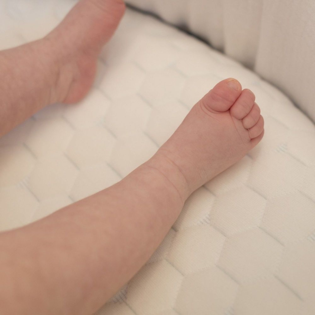 Colchão para Alcofa Ecus Kids Mimo Peti - Ecus Kids - 8433905524678